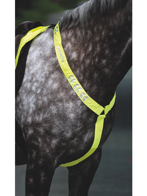 Equi Flector Breastplate for Horses - Durable & Adjustable Riding Protection Gear - Perfect for Dressage, Jumping & Trail Riding