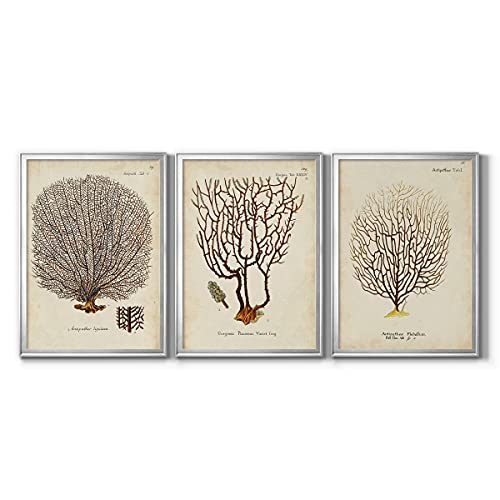 Art S2534-3SS
