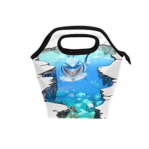Shark Jellyfish