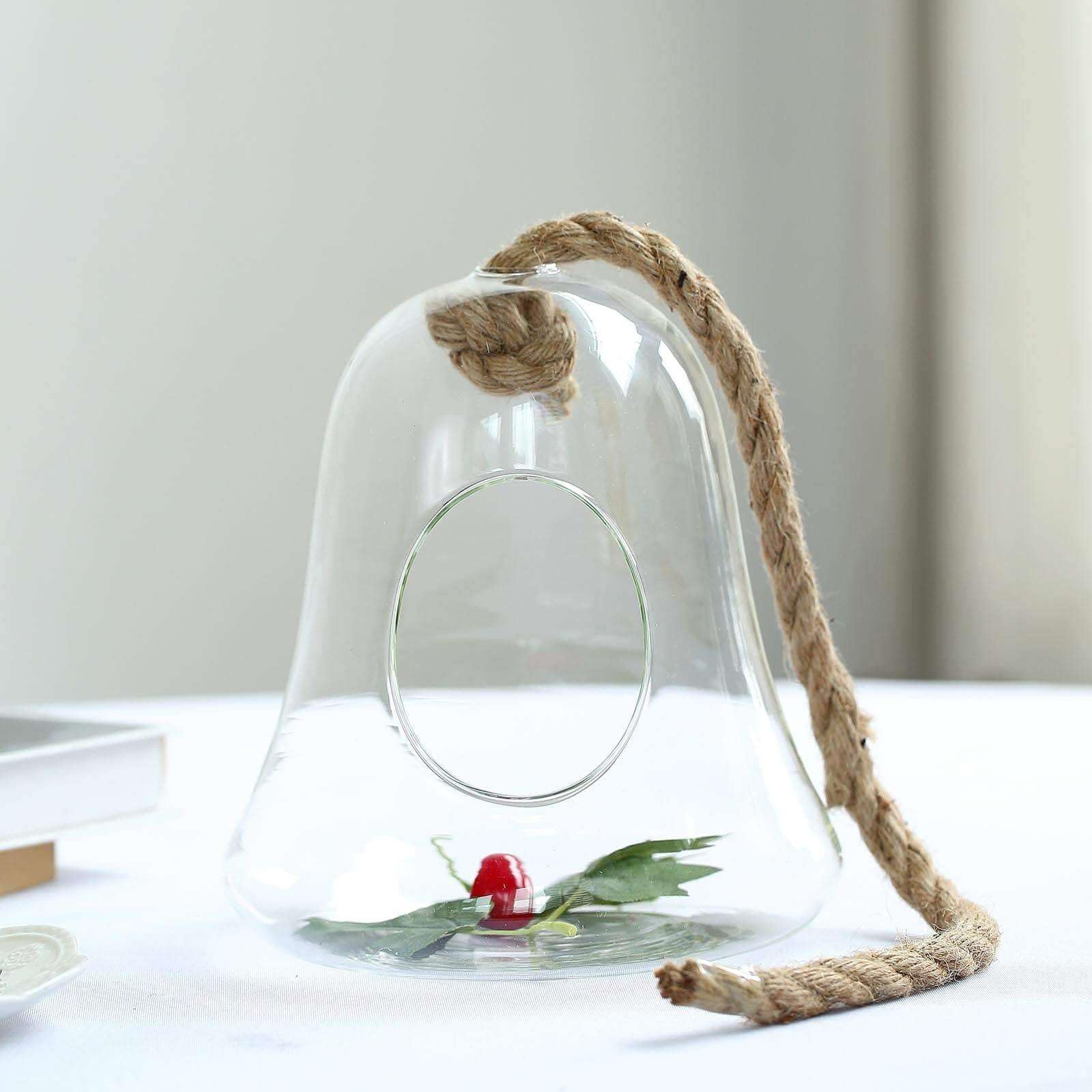 Efavormart 9 Inch Hanging Glass Terrarium with Rope - Air Plant Holder, Succulent Planter, DIY Terrarium Kit for Home Decor, Wedding Centerpiece, and Office Desk Decor