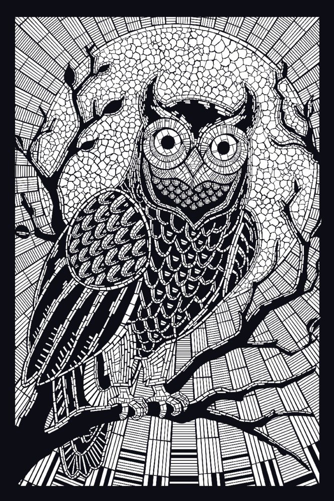 Owl Coloring Book - 16x24 Gallery Quality Metal Wall Art Decor for Home & Office - Premium Aluminum Print for Living Room, Bedroom, or Gift