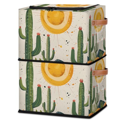 Sunshine Cactus Desert