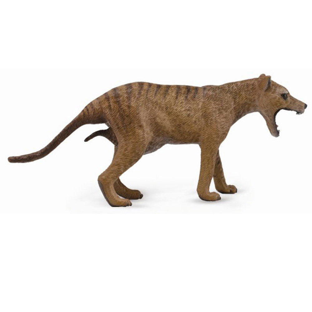 CollectA Tasmanian Tiger Thylacine Marsupial Figurine with Joey - Realistic Wildlife Model Toy for Kids Collection, Educational Play & Diorama Scenes