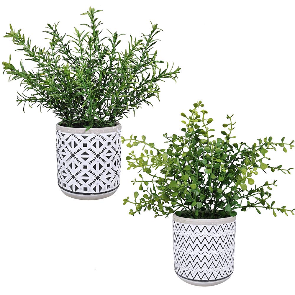 2 Pack Small Artificial Eucalyptus & Boxwood Plants in Modern Concrete Pots - Fake Potted Greenery for Home, Office & Wedding Decor - Perfect for Tabletop, Shelf & Indoor Decorations