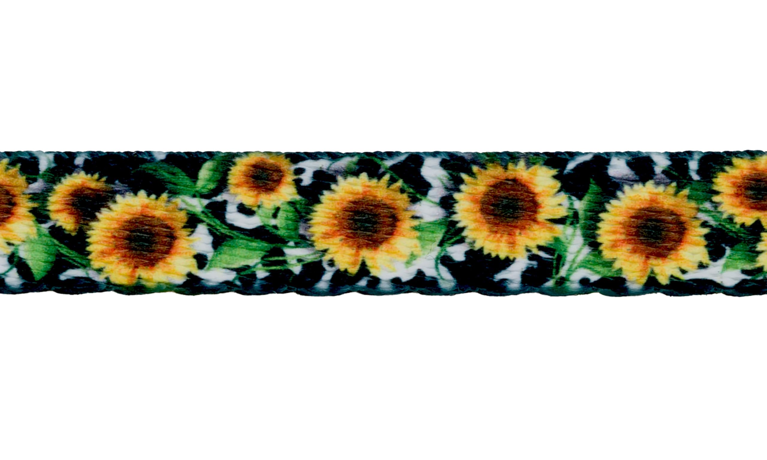 Country Brook Design - Dairy Fields Polyester Webbing Dog Collar & Leash Set - Durable Nylon Pet Accessories for Small Medium Large Dogs - Perfect for Walking, Training & Outdoor Adventures