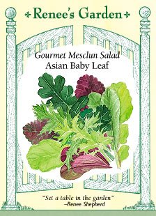 Premium Asian Baby Leaf Lettuce Seeds - Gourmet Salad Greens for Home Garden & Hydroponics - Perfect for Salads, Sandwiches & Healthy Eating
