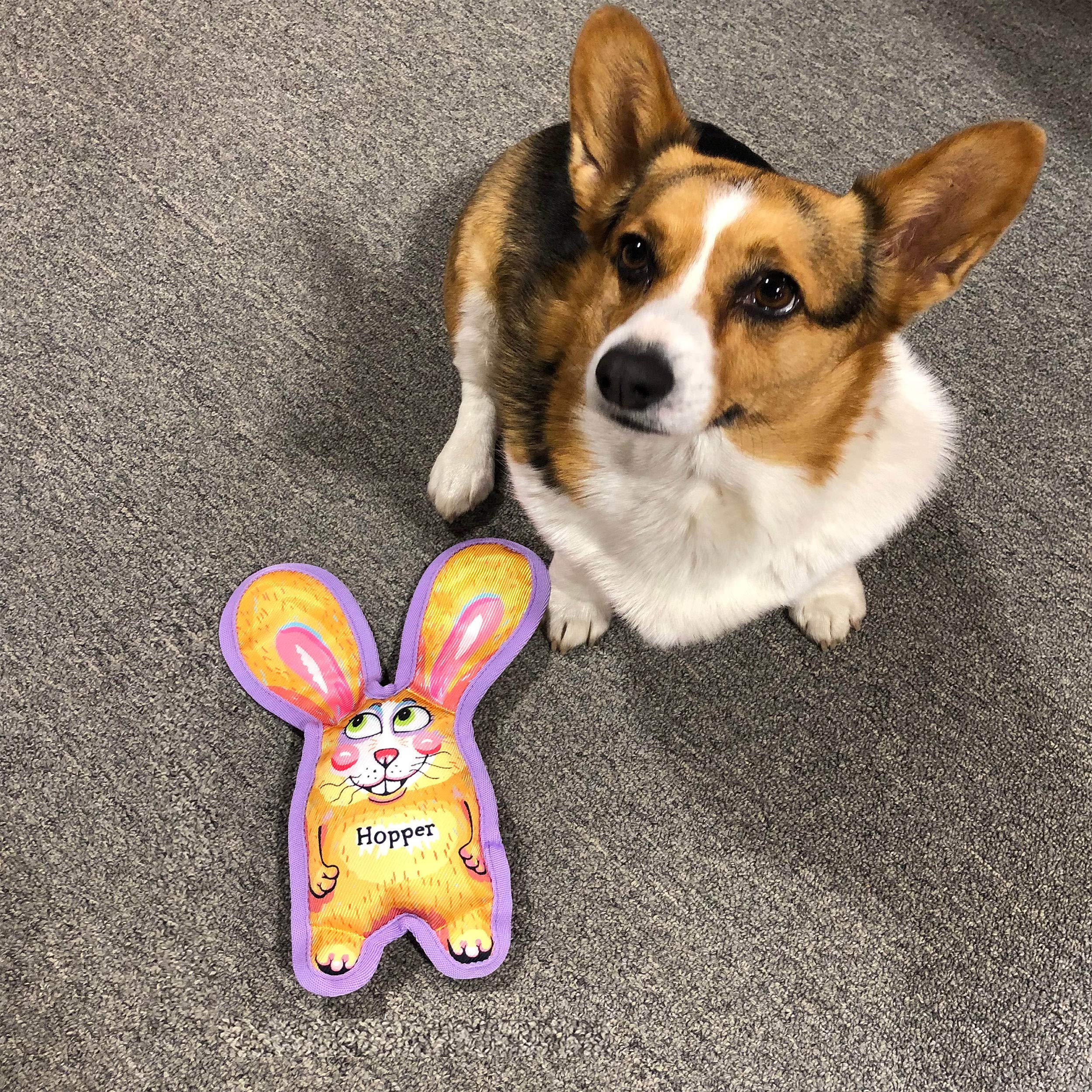 Durable All Ears Squeaky Dog Chew Toy - 7 Inch Hopper Puppy Toy for Aggressive Chewers | Small Rugged Pet Toy for Indoor & Outdoor Play