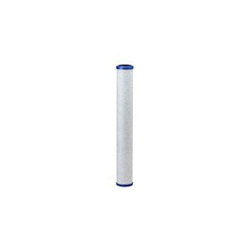 Everpure Costguard CG520 Water Filter Replacement Cartridge - EV910825 - High-Performance Filtration for Cleaner, Safer Drinking Water - Ideal for Home, Office, and Commercial Use