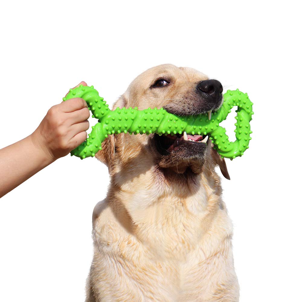 Durable 13-Inch Extra Large Dog Chew Bone Toy - Strong Tug Toy for Aggressive Chewers, Medium & Large Dogs - Promotes Dental Health & Teeth Cleaning - Perfect for Playtime, Training & Outdoor Activities