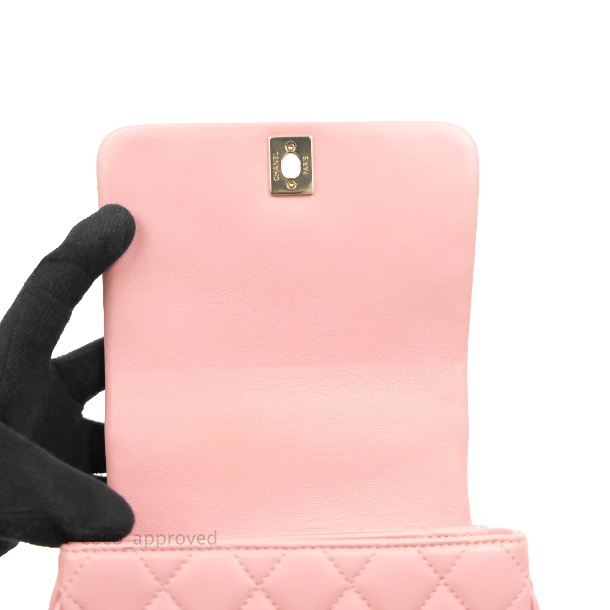 Chanel Citizen Chic Mini Flap Bag in Pink Lambskin with Gold Hardware - Elegant Crossbody Purse for Women, Perfect for Date Night & Special Occasions