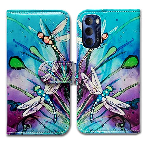 Cute Dragonfly