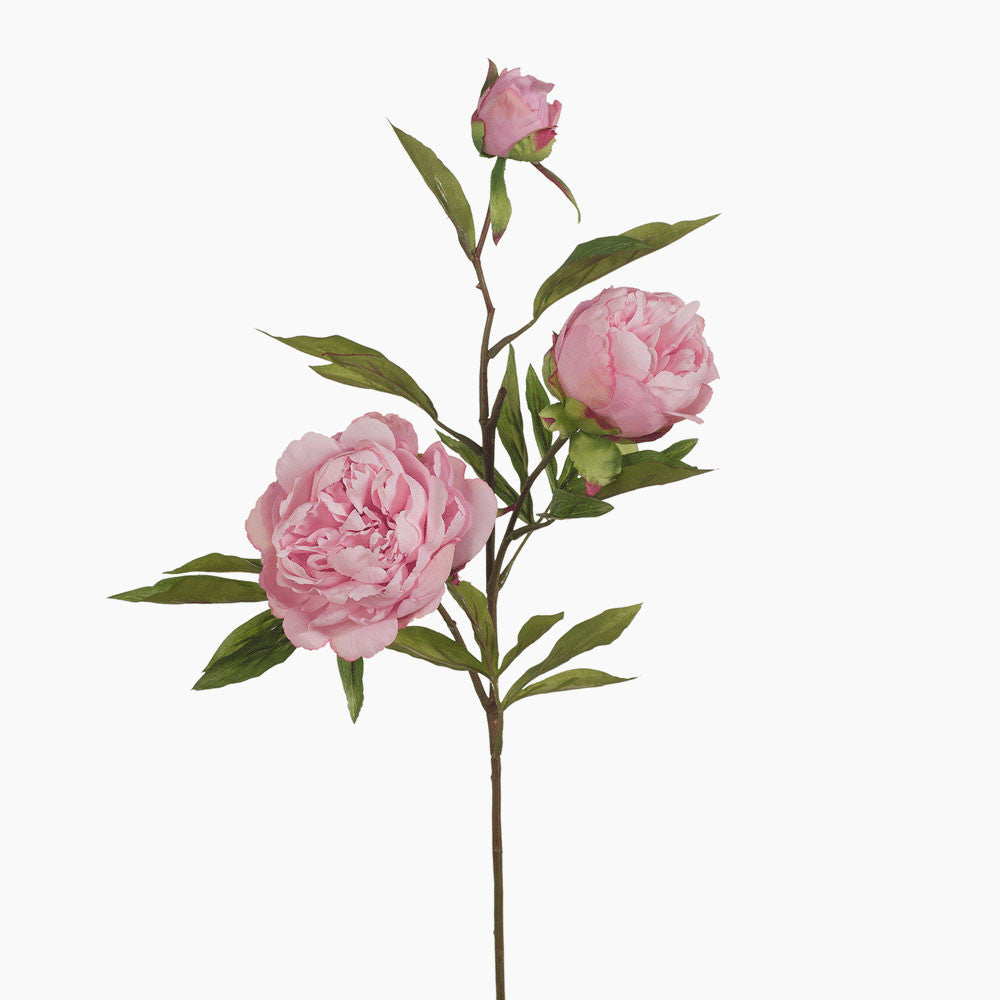 Light Pink Peony and Bud - Perfect for Wedding Bouquets, Home Decor, and Floral Arrangements