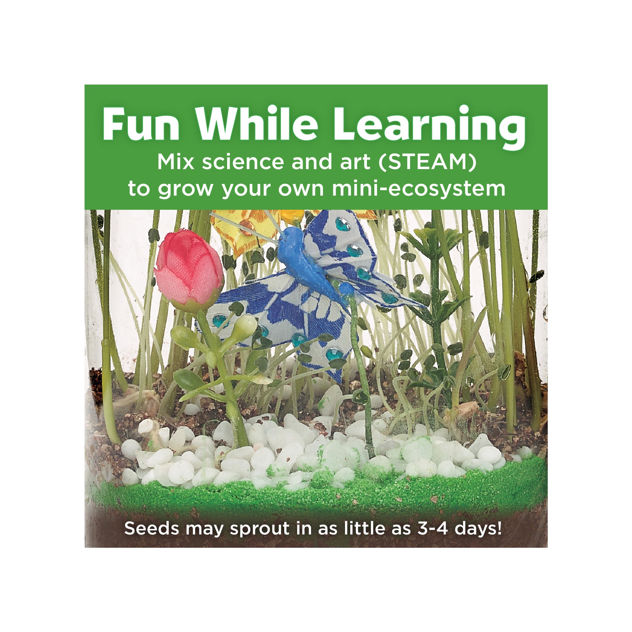Sparkle N' Grow Butterfly Terrarium Kit - DIY Habitat for Kids & Educational Science Project - Perfect for Home, Classroom & Garden Exploration #6121000
