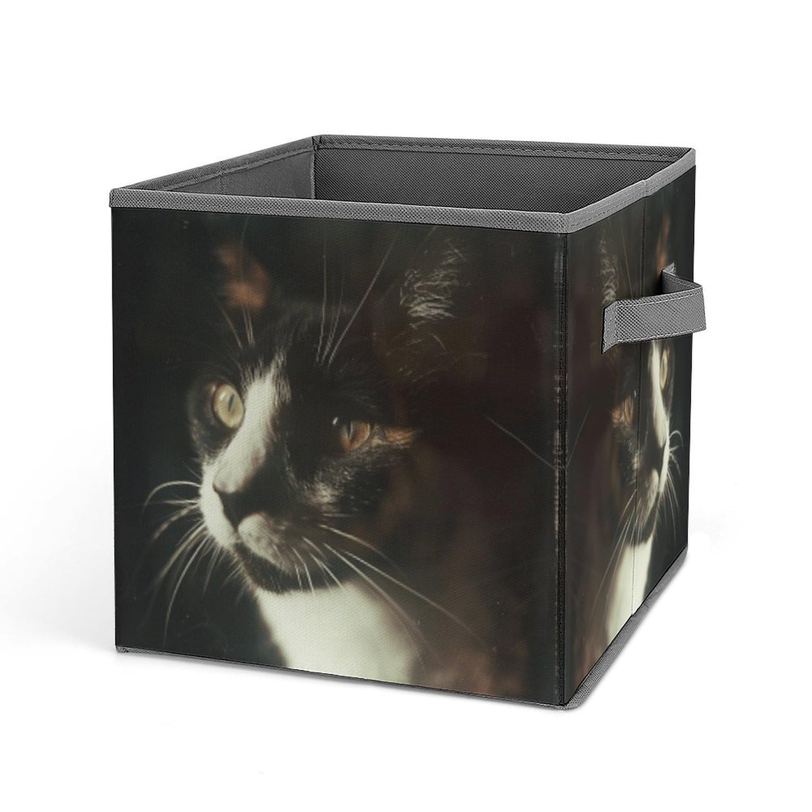 Foldable Storage Bins with Handles - 10.6x10.6 Inch Collapsible Cube Organizer Baskets for Home, Office & Closet - Cat with White Eyes Printed Design - Perfect for Toys, Books & Clothes Organization