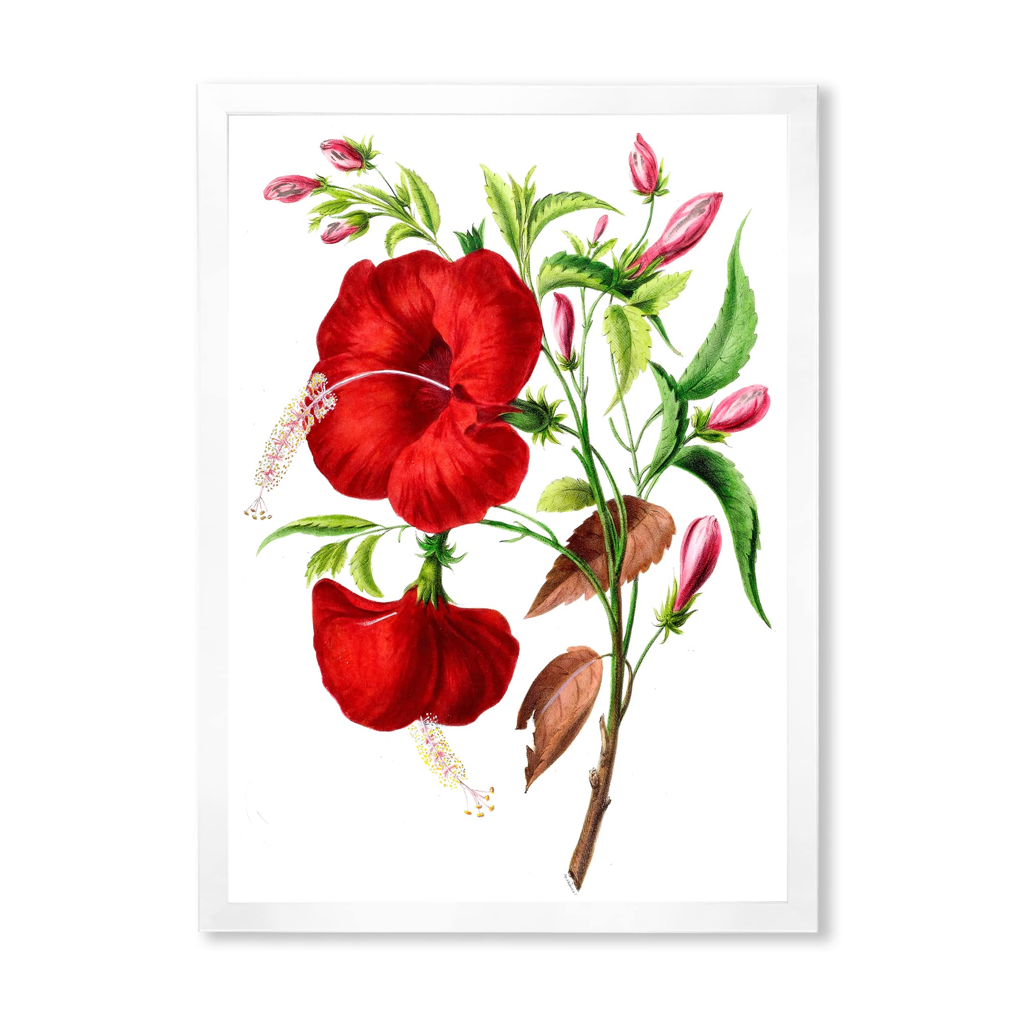 Pink Bird on Flowering Branch - Traditional Framed Wall Art Painting for Living Room, Bedroom & Office Decor