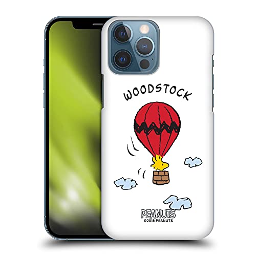 Woodstock