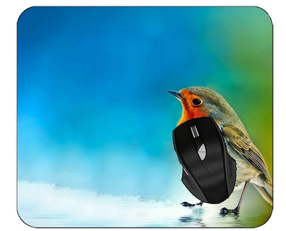 Colorful Animal Feather Gaming Mouse Pad - Non-Slip Large Desk Mat for PC, Laptop, Office & Home Use - Perfect for Gamers and Workstations