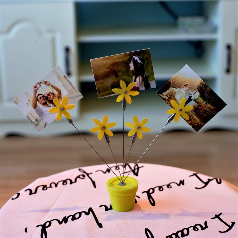 5 Branch Photo Tree Holder Clip - Money Tree & Family Tree Gift Card Display for Photos, Souvenirs, Notes & Wedding Cards | Perfect for Home Decor, Wedding Reception & Memory Keepsakes