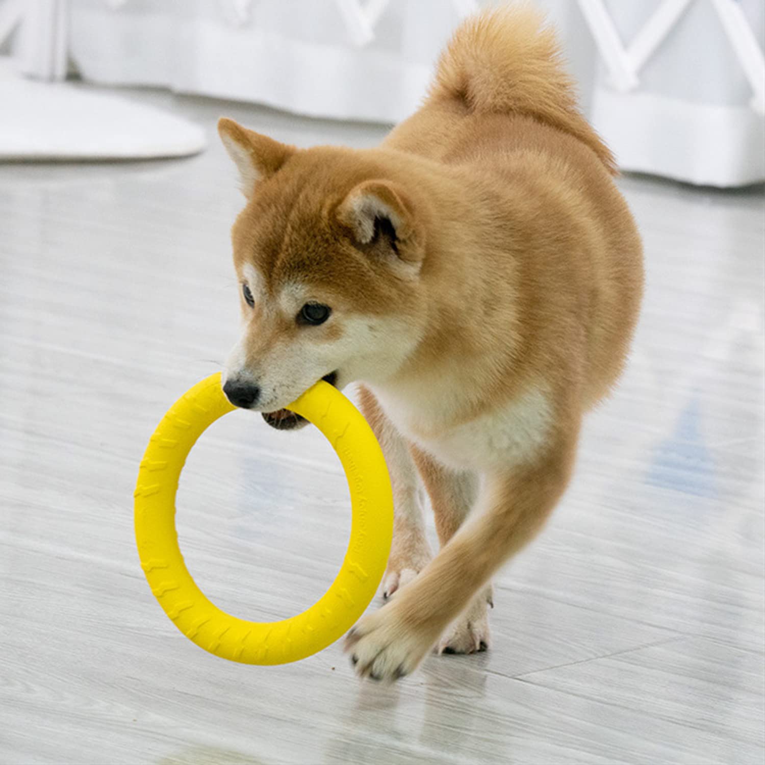 Durable Floating Dog Frisbee - Indestructible Chew Toy for Small & Medium Dogs, Perfect for Pool, Beach, Outdoor & Indoor Play - Great for Fetch, Training, Swimming & Water Games