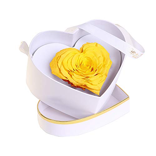 Luxury Long Lasting Preserved Roses in Gift Box - Royal Heart Yellow Eternal Flowers for Anniversary, Valentine's Day & Home Decor