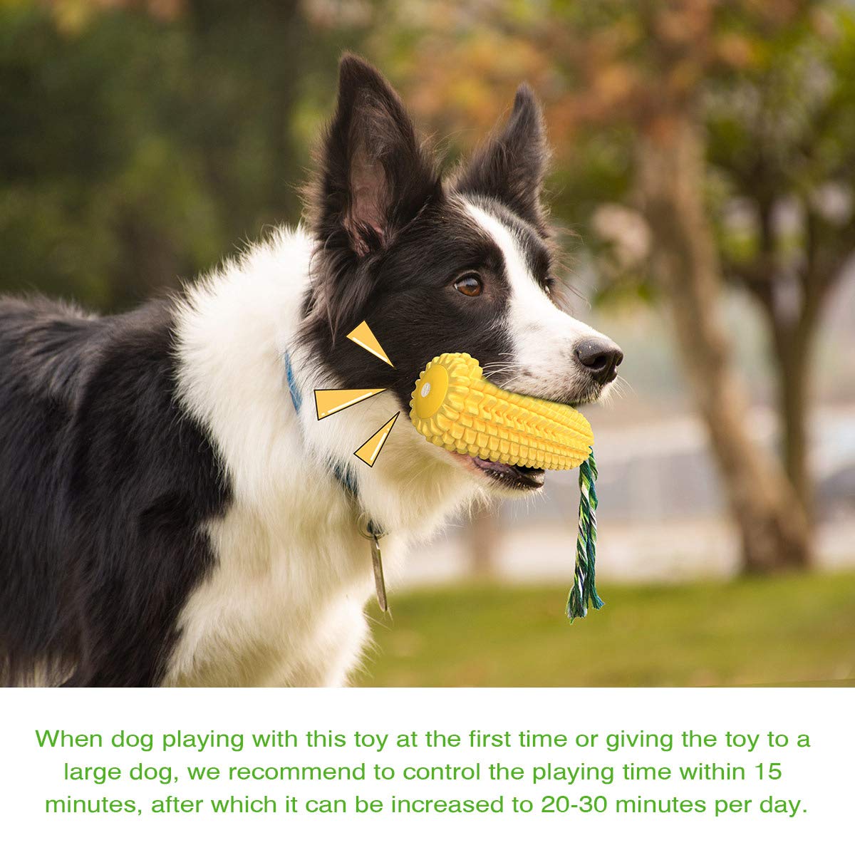 Acecy Indestructible Dog Chew Toys for Puppies, Small Medium Large Breeds - Corn Stick Squeaky Teething Toy for Boredom Relief | Durable Playtime, Training Reward, Interactive Fun