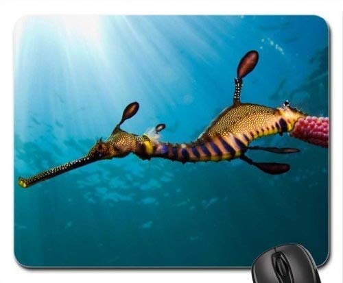 Fish Themed Gaming Mouse Pad with Seadragon & Weedy Design - Non-Slip Large Mouse Mat for PC, Laptop, Office & Home Use - Perfect for Gamers, Graphic Designers & Computer Work