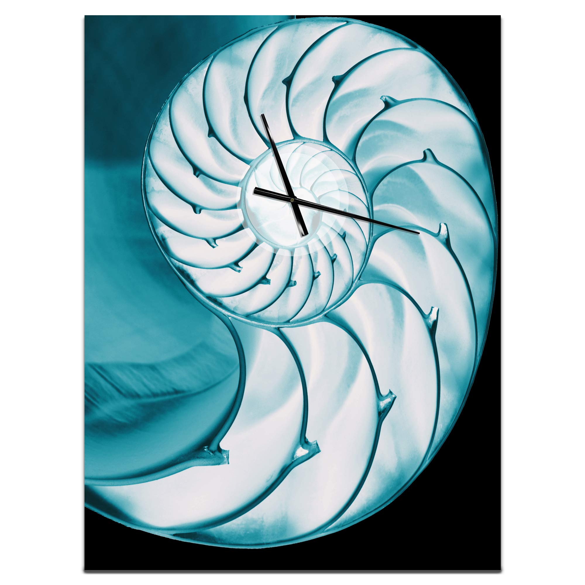 DesignQ 'Chambered Nautilus Shell' Modern Wall Clock - Silent Non-Ticking Decorative Clock for Home, Bedroom, Bathroom, Office & Living Room - Perfect for Coastal, Boho & Minimalist Interior Decor