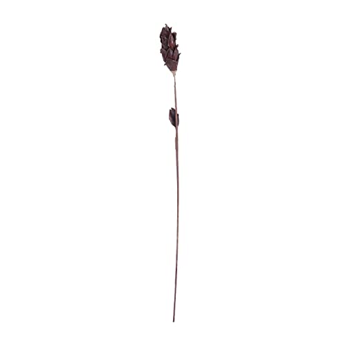 ELK Black Corn Leaf Pole Decorative Accessory - Rustic Farmhouse Home Decor for Wall, Mantel, or Tabletop Display