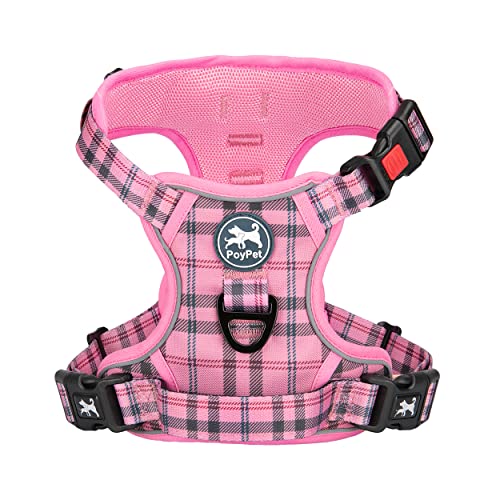 Checkered Pink