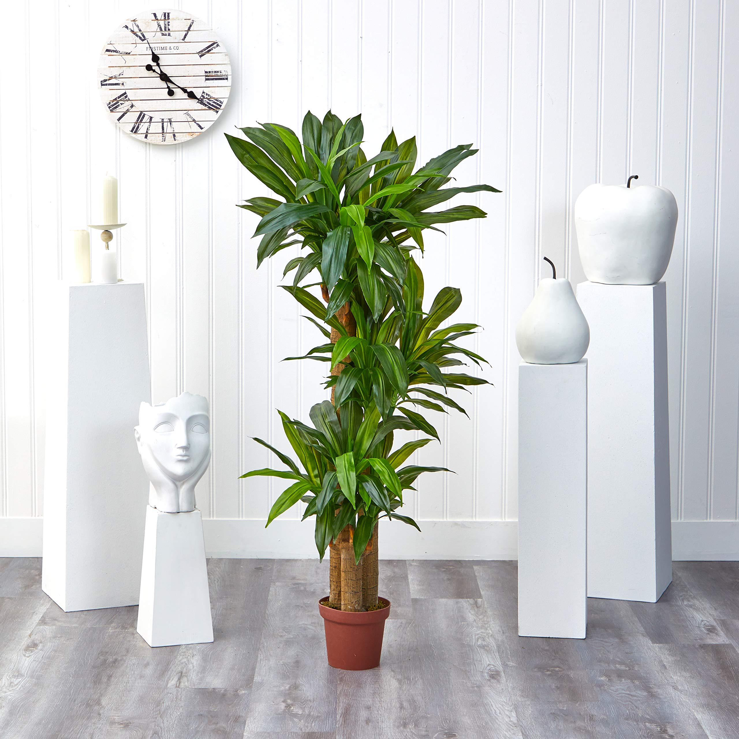 Nearly Natural 62IN Artificial Corn Stalk Dracaena Plant - Tall Fake Plant for Indoor Home Décor, Real Touch Faux Plant - Perfect for Living Room, Office, and Wedding Centerpieces