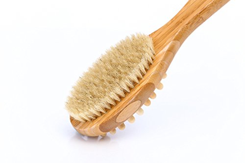 100% Natural Boar Bristle Dry Body Brush for Exfoliation & Skin Renewal - Long Handle Wooden Back Scrub Brush for Shower, Spa & Lymphatic Massage - Remove Dead Skin Cells & Improve Circulation