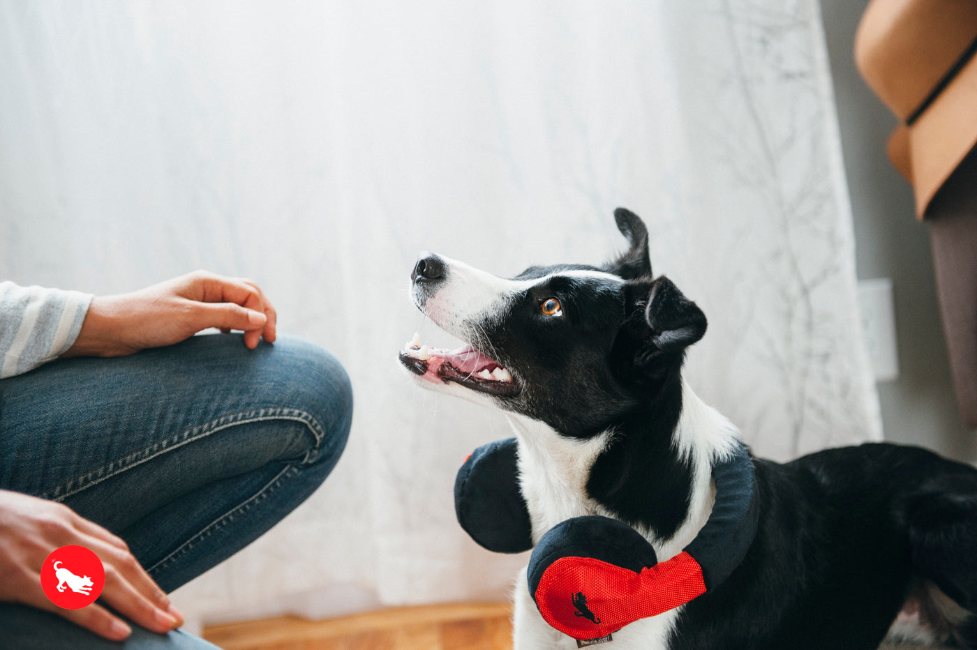 Globetrotter Plush Dog Toy with Squeaker - Soft & Durable Chew Toy for Small & Large Dogs | Perfect for Playtime, Training & Travel | Pet P.L.A.Y.