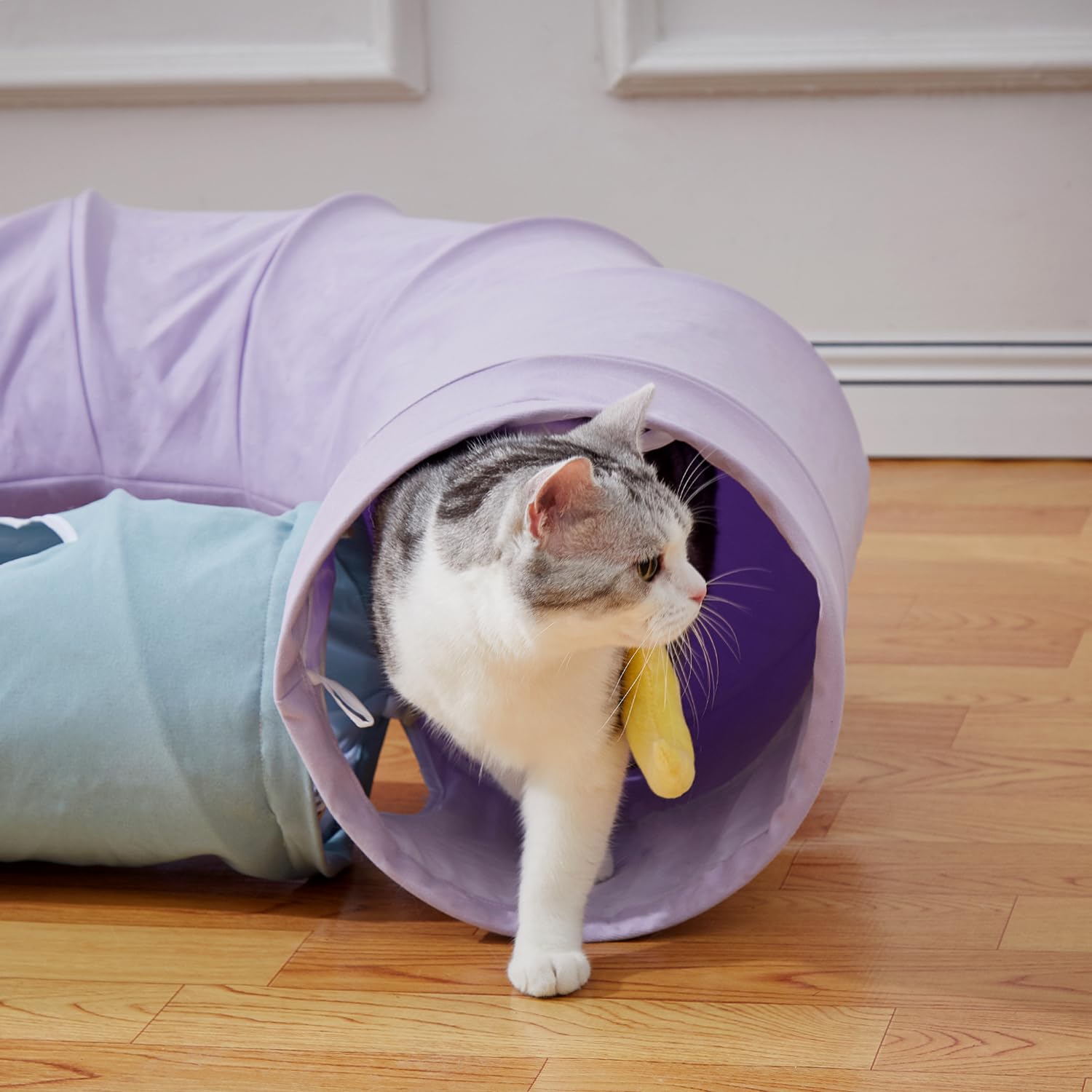 Collapsible Large Cat Tunnel for Indoor Cats - Durable & Cute Pet Toy for Kittens, Puppies & Rabbits (Purple) - Perfect for Playtime, Exercise & Hideouts