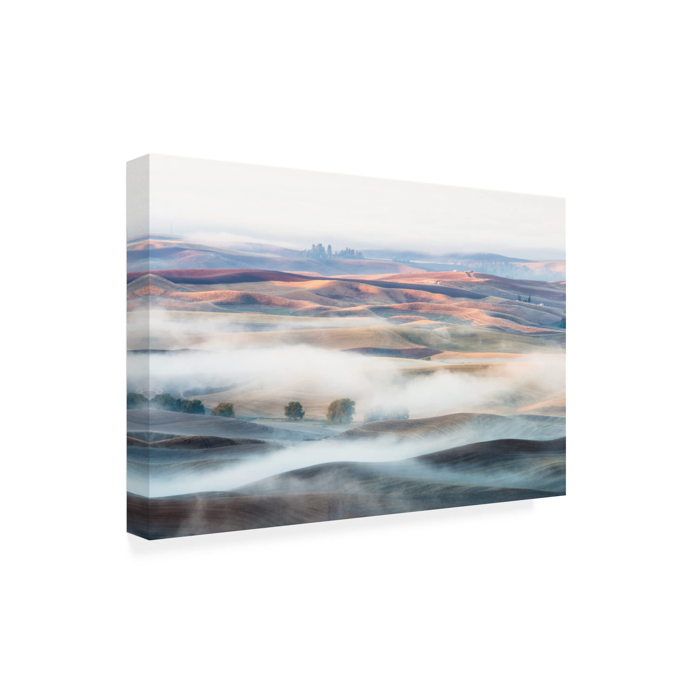 Thien Nguyen 'Misty Morning' Canvas Wall Art Print - Landscape Nature Painting for Living Room, Bedroom & Office Decor