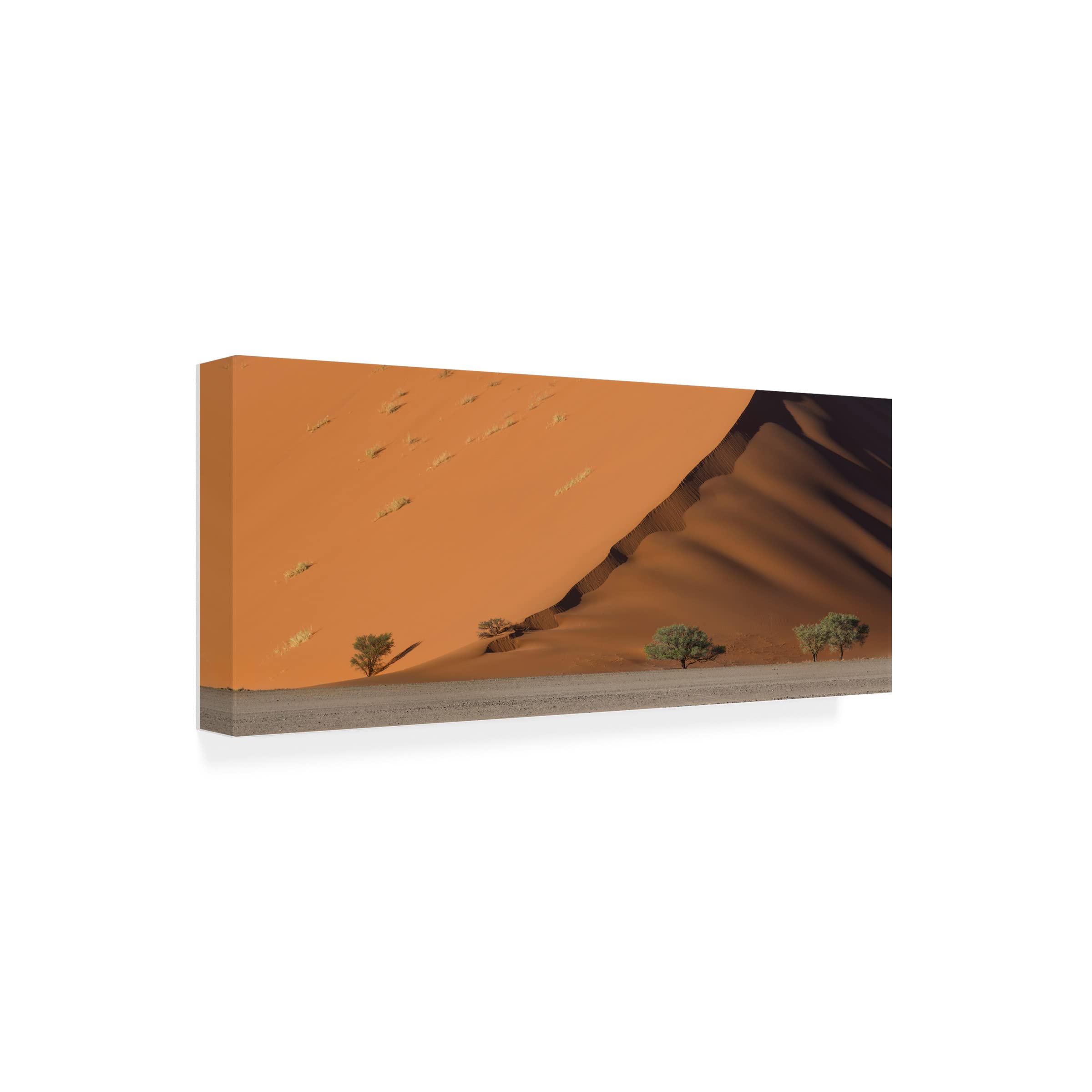 Roberto Marchegiani Dune Canvas Art Print - Stretched Framed Wall Decor for Living Room, Bedroom & Office - Famous Movie Inspired Landscape Painting