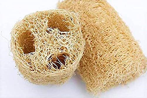 Organic Loofah Sponge Body Scrubber - 100% Natural, Skin-Friendly, Eco-Friendly Bath Exfoliator for Men & Women (Pack of 10) - Perfect for Shower, Spa & Gentle Skin Exfoliation