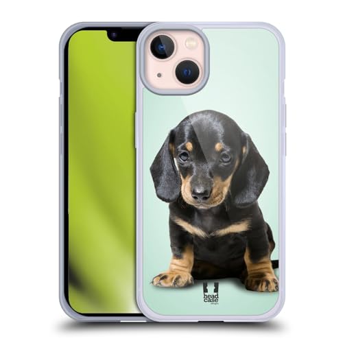 Sitting Dachshund Puppy