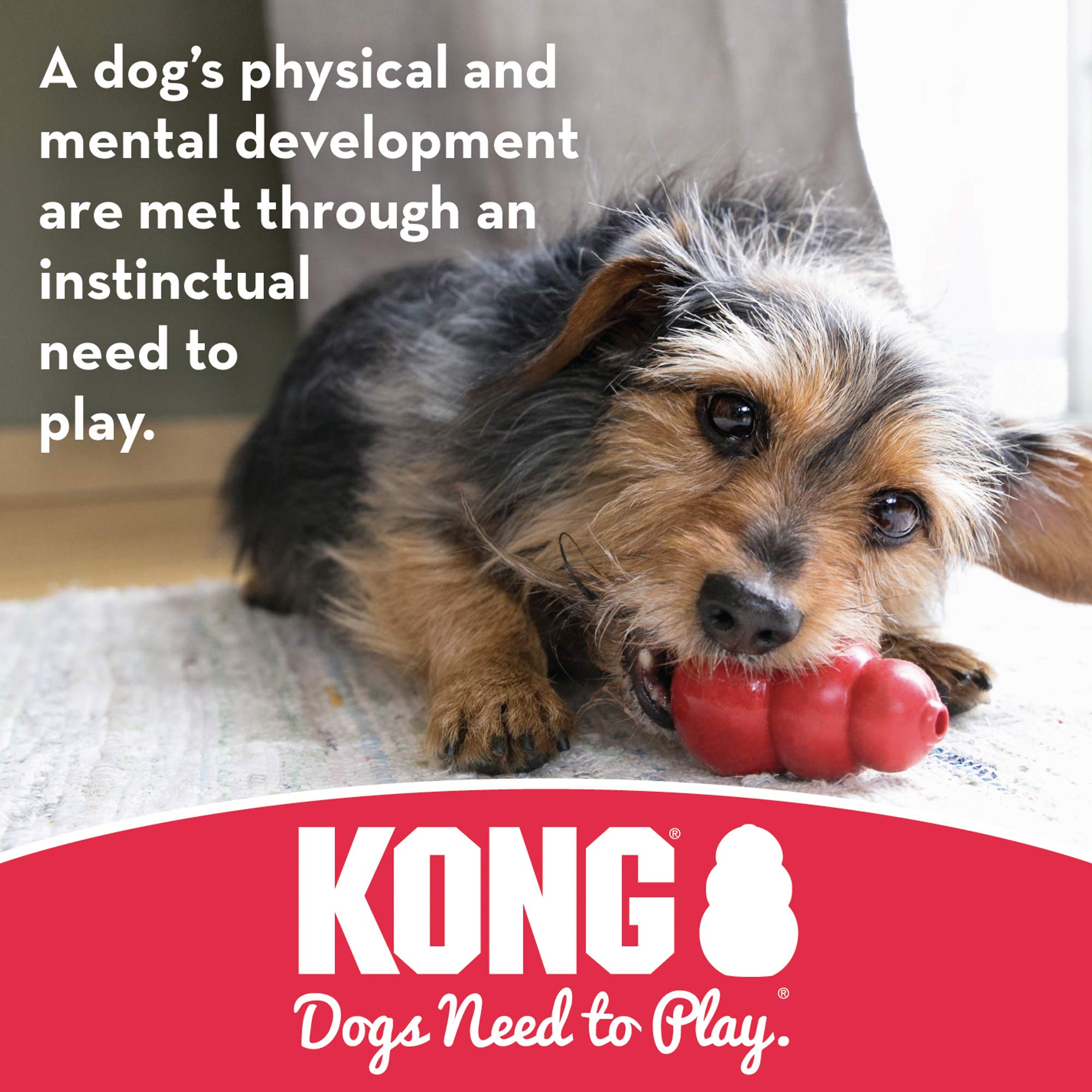 KONG Jump'N Jack Small Dog Toy with Easy Treat Peanut Butter - Interactive Treat Dispensing Chew Toy for Puppies & Small Breeds - Perfect for Boredom Relief & Mental Stimulation During Playtime, Training, or Alone Time