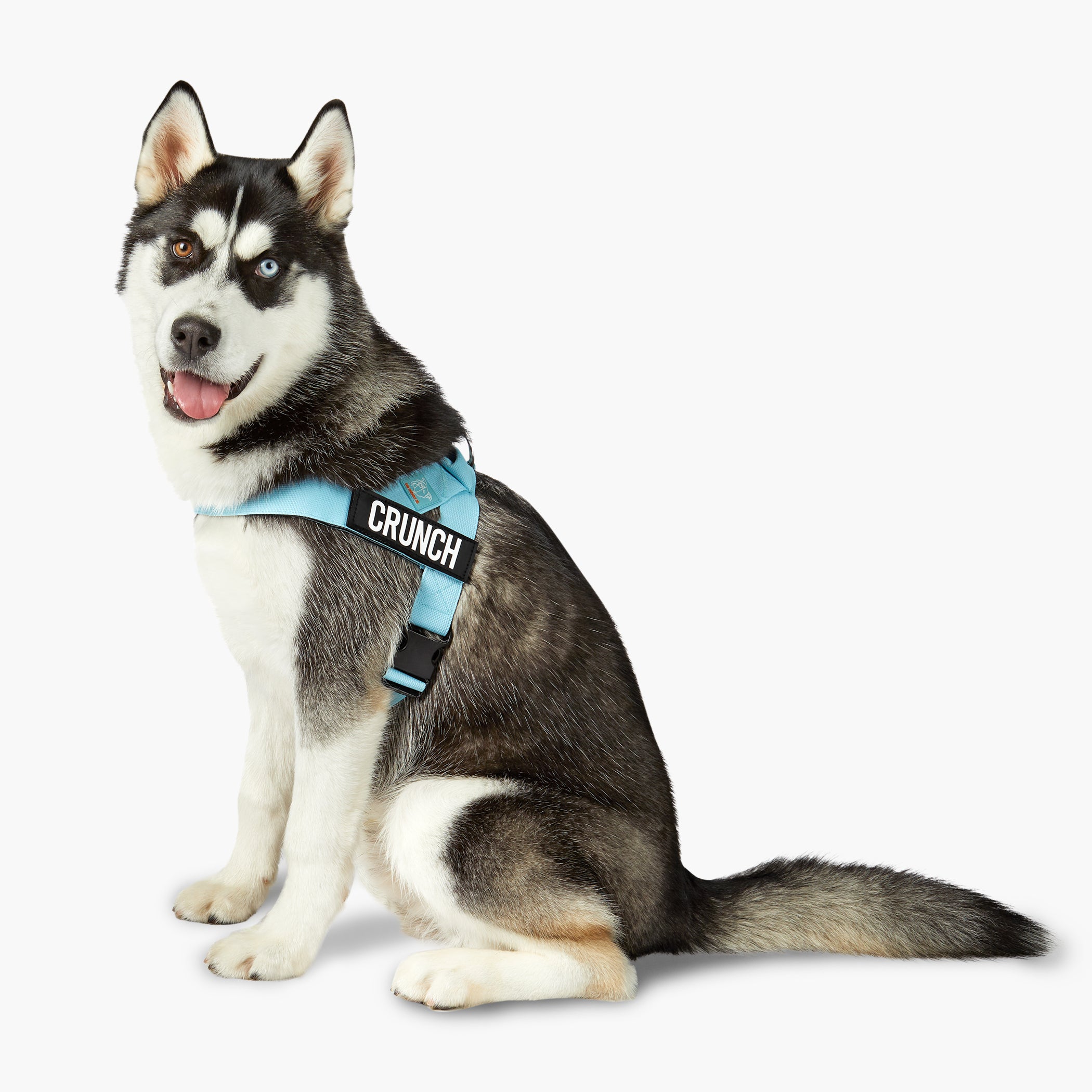 Premium Dog Harness for Small & Medium Dogs - Adjustable & Breathable Sky Blue Pet Vest - Perfect for Walking, Hiking & Outdoor Adventures
