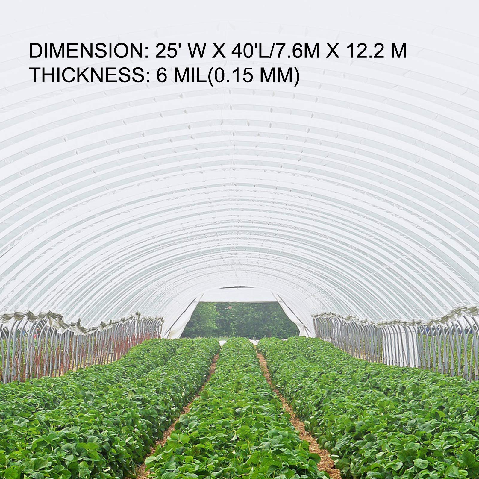 Happybuy Greenhouse Film 25 x 40 ft - 6 Mil Thickness UV Resistant Polyethylene Plastic Cover for Plant Protection & Temperature Control - Ideal for Backyard Gardens, Commercial Greenhouses, and Plant Nurseries