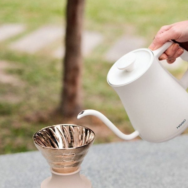 Hario Alpha Electric Kettle - Fast Boiling, Temperature Control, Stainless Steel - Perfect for Coffee, Tea & Home Brewing