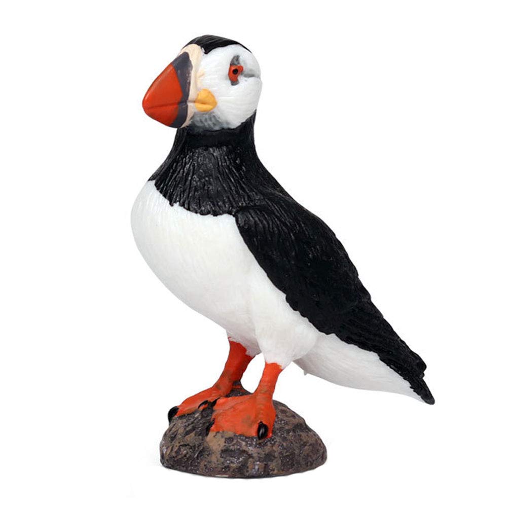 Realistic Woodpecker Animal Figures - HOMNIVE Plastic Woodpecker Toy Set for Kids, Toddlers & Girls - Educational Learning Toys for Bird Lovers & Nature Exploration - Perfect for Classroom, Playroom & Outdoor Adventures
