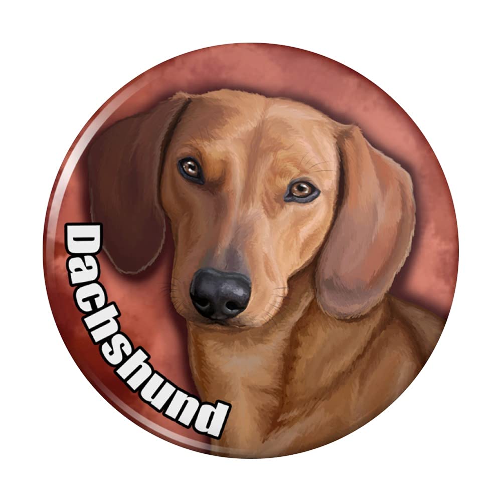 Funny Dachshund Wiener Dog Refrigerator Magnet - Cute Kitchen Decor for Pet Lovers, Great for Fridge, Lockers, Office & Home Use