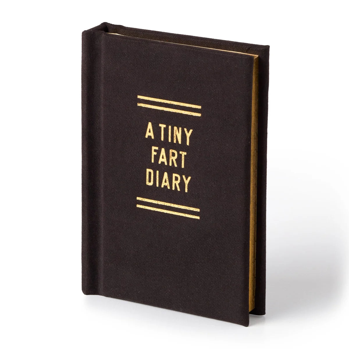 Funny Tiny Fart Diary Notebook - Cute Mini Journal for Kids & Adults - Perfect for Gag Gifts, Prank Ideas & Bathroom Humor
