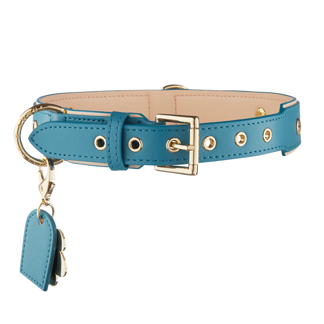 Teal and Light Pink Dog Collar - Adjustable Nylon Pet Collar for Small Medium Large Dogs - Perfect for Walks, Training, and Everyday Use