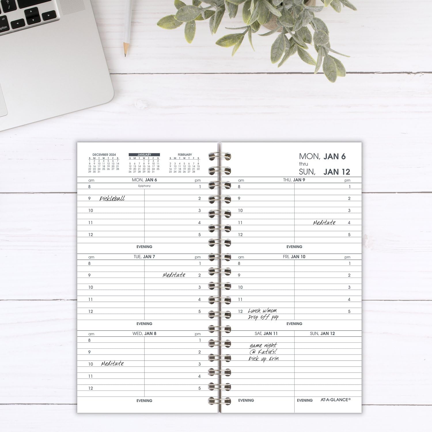 AT-A-GLANCE 2025 Weekly Appointment Book Planner - 3.25