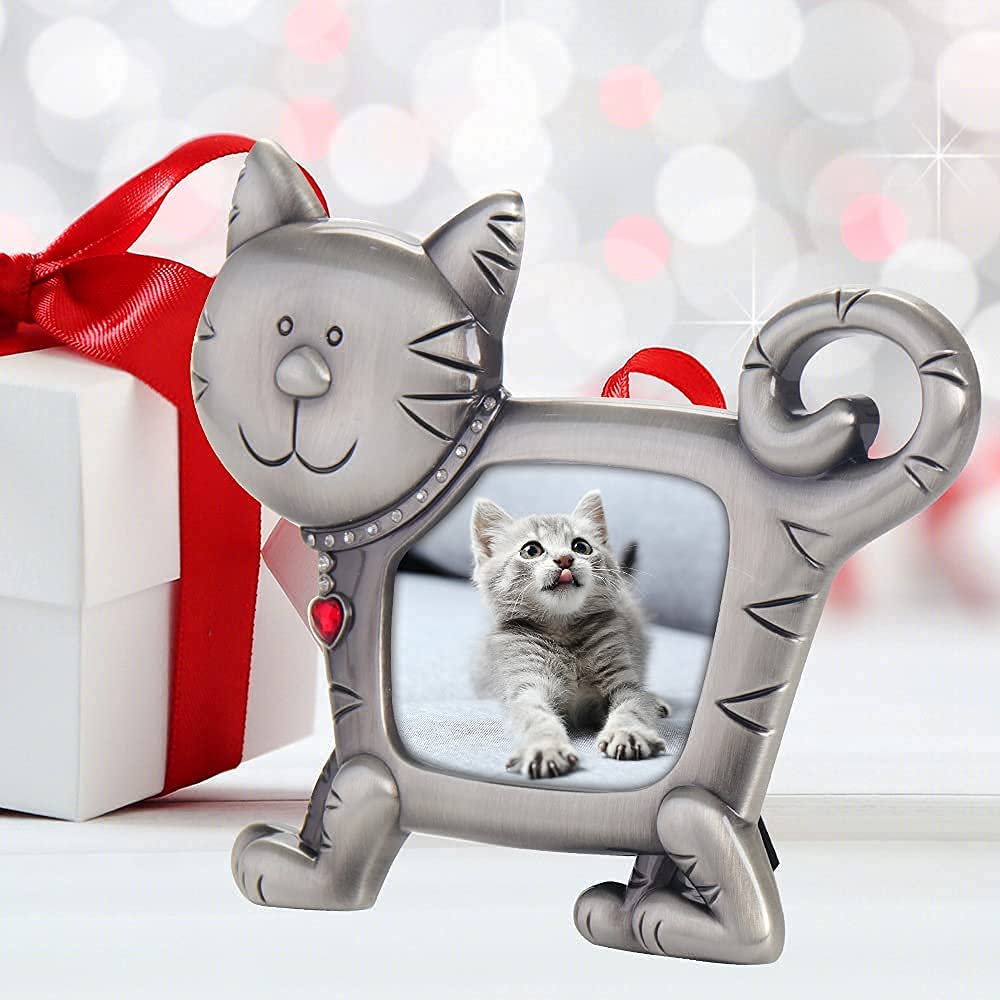 LASODY Memorial Cat Picture Frame - Personalized Pet Loss Gift for Cat Lovers | Sympathy Gift for Bereaved Pet Owners | Perfect for Home Decor & Memorial Displays