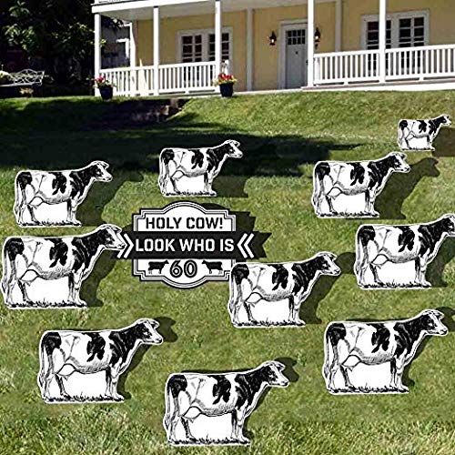 VictoryStore 60th Birthday Yard Decorations - 'Holy Cow! Look Who Is 60' Outdoor Party Set of 11 Signs with 12 Stakes | Perfect for Milestone Celebrations, Backyard Parties & Surprise Birthday Decor