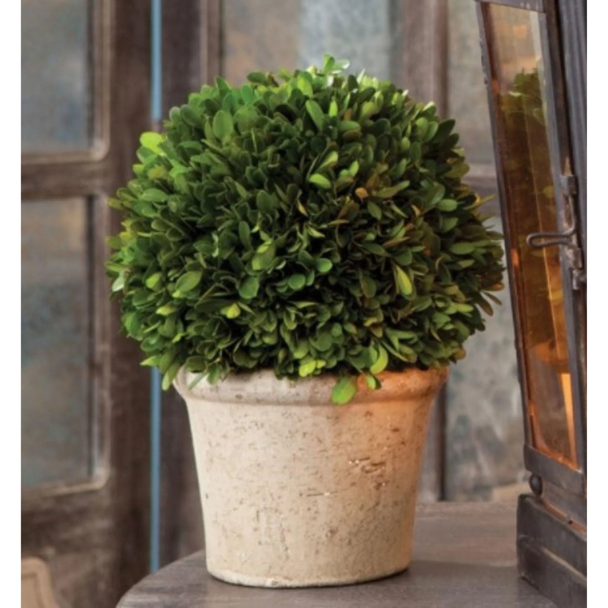 Artificial Boxwood Topiary Ball in Decorative Pot - Realistic Faux Greenery for Home, Office, and Garden Decor
