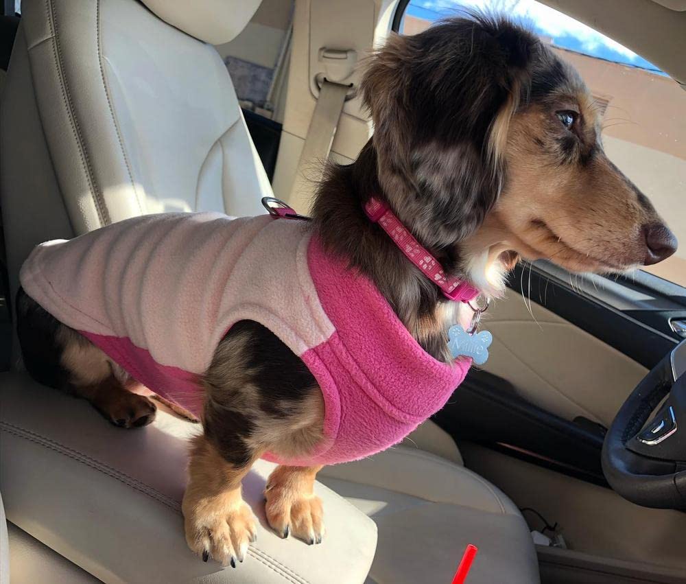 Gooby Half Stretch Fleece Vest Dog Sweater - Peach, Small - Warm Pullover Fleece Dog Jacket with D-Ring Leash - Winter Small Dog Sweater Coat - Cold Weather Dog Clothes for Small Dogs Boy or Girl | Perfect for Outdoor Walks, Park Visits, and Winter Adventures